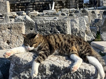One Day in Ephesus: Explore the Heart of Ancient Civilization