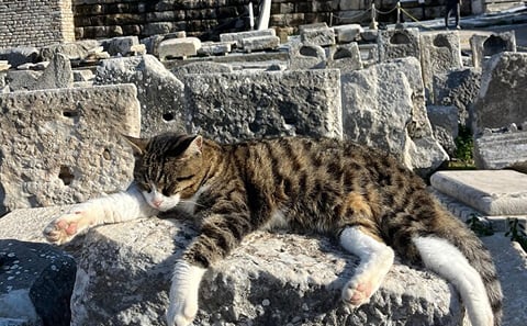 One Day in Ephesus: Explore the Heart of Ancient Civilization