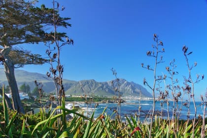 Cape Town, Garden Route and Eastern Cape