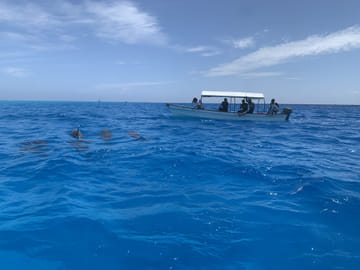 8 Days / 7 Nights – Northern Safari and Zanzibar Gateway