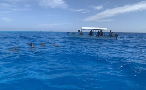 8 Days / 7 Nights – Northern Safari and Zanzibar Gateway