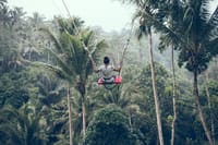 swing