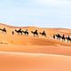 6 Day Morocco Wonders Casablanca to Marrakech in Morocco Tours