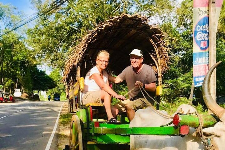 Highlights Of Sri Lanka – 4 Days