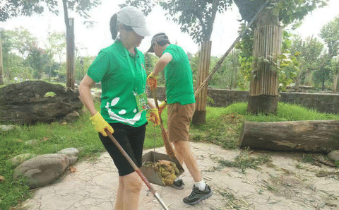 Giant Panda and Dujinagyan Irrigation 1 day tour