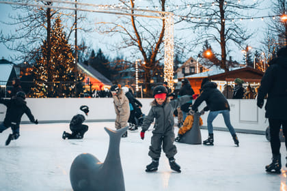 The Icelandic Christmas Advent Driving Tour