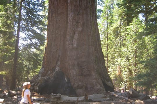 Private 4 Day Death Valley, Yosemite, San Francisco from Las Vegas with Lodging