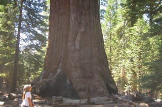 Private 4 Day Death Valley, Yosemite, San Francisco from Las Vegas with Lodging