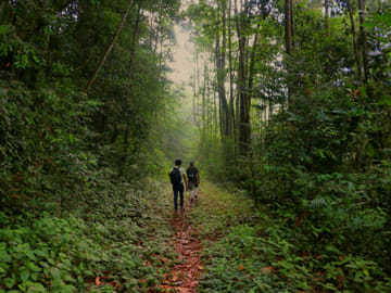 Eco-Friendly Adventure Tour in Colombo, Sri Lanka