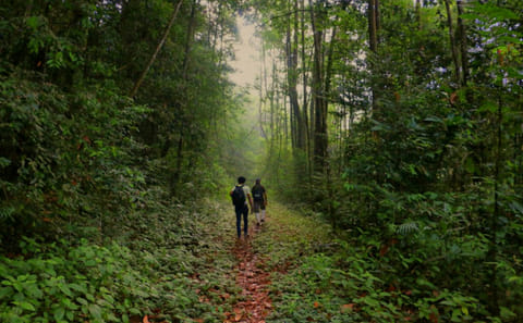 Eco-Friendly Adventure Tour in Colombo, Sri Lanka
