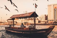 Old & Modern Dubai Tour with Blue Mosque and Miracle Garden 7