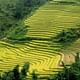 Authentic Sapa Trekking With Local Family Homestay (2d1n by bus)