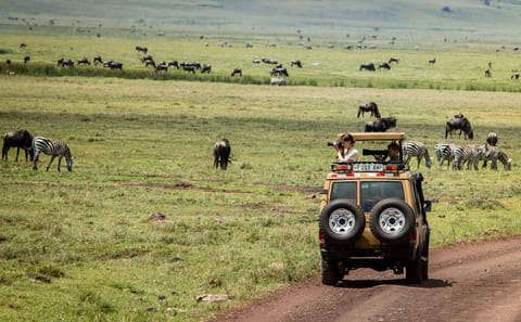 3 Days Short Safari to Tarangire, Ngorongoro Crater and Lake Eyasi
