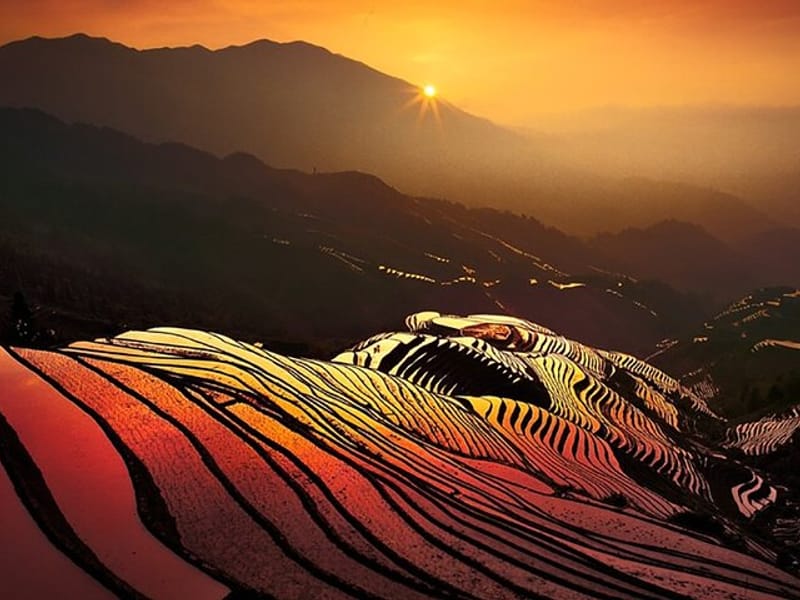 One Day Private Longji Rice Terraces with Minority Village Tour
