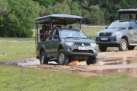 Private All-Inclusive Safari Tour at Wilpattu National Park from Negombo