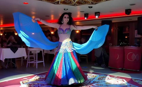 Istanbul Bosphorus New Year Dinner Cruise Party 2027