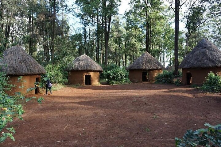 Nairobi Museum Snake Park Giraffe Center and Beads Center Tour