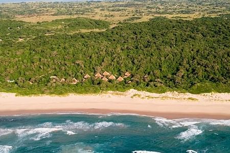 Bush and Beach