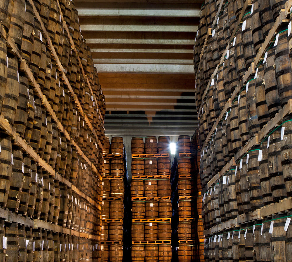 FROM PUNTACANA: Ron Barcelo Rum Factory Tour+Bayahibe beach