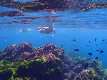 Snorkeling