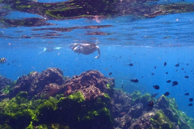 Explore Surin Islands: Ultimate Snorkeling Day Trip from Phuket photo 3