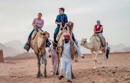Spider Car Buggy Desert Adventure with Camel Ride from Marsa Alam
