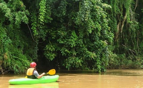 Full-Day Chiang Dao Caving and Jungle Kayaking in Chiang Mai