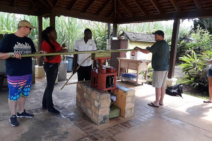 MAKING SUGAR CANE JUICE