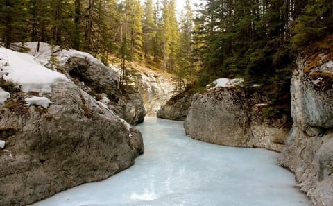 Winter Ice Walk at Grassi Lake and Grotto Canyon from Canmore