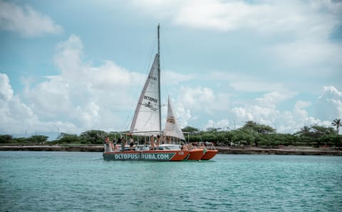 Private Catamaran Sailing Tour in Noord, Aruba