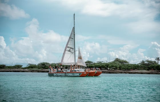 Catamaran Private Charter Morning