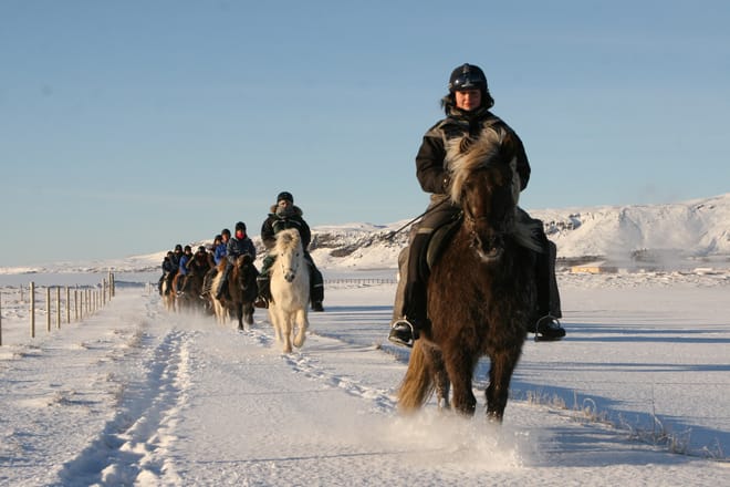 02G - Icelandic Diversity  5