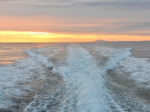 Reykjavík Premium Whales in the Midnight Sun, photo 22