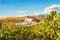 Wine Tasting & More in Villa Melnik – One of the World’s Best Wineries 3