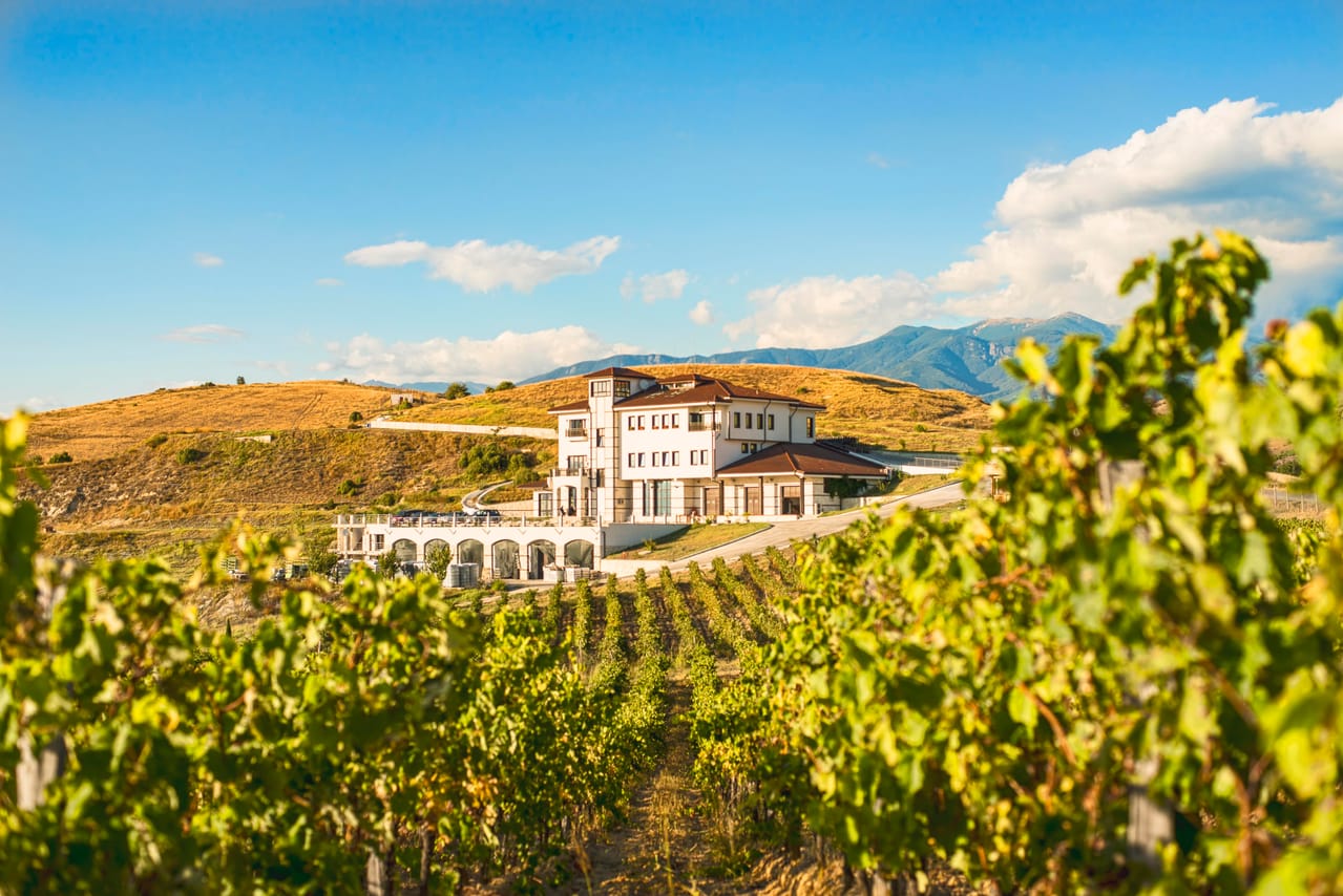 Wine Tasting & More in Villa Melnik – One of the World’s Best Wineries 3