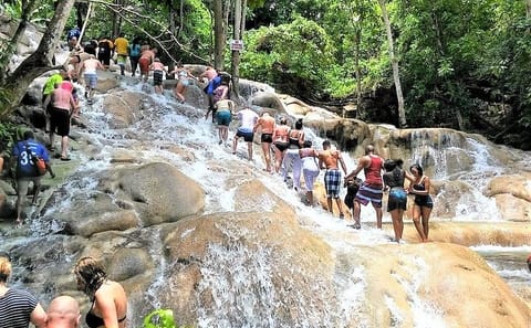 Blue Hole and Dunn's River Falls Day Trip from Montego Bay