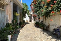 Private Tour: Agios Nikolaos, Spinalonga, Villages & Olive Oil  10