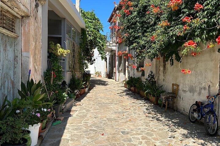 Private Tour: Agios Nikolaos, Spinalonga, Villages & Olive Oil  10