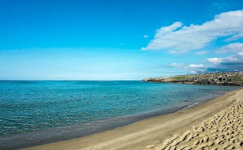 Private Beach Hopping Tour in Mykonos: Elia and Kalafatis