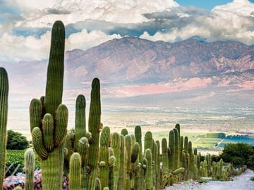 Hiking Tour of Quebrada De Las Conchas from Cafayate
