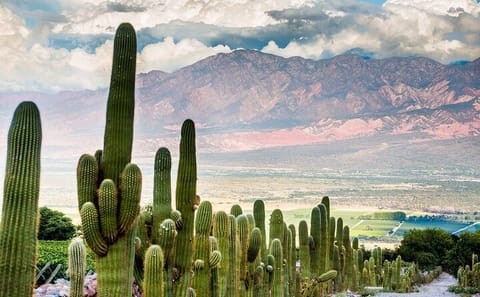 Hiking Tour of Quebrada De Las Conchas from Cafayate