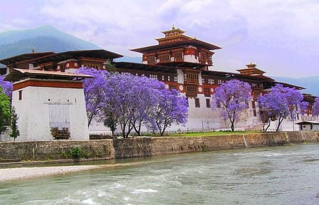9-Day Thimphu Tshechu Festival Tour – A Journey into Bhutanese Culture & Celebration