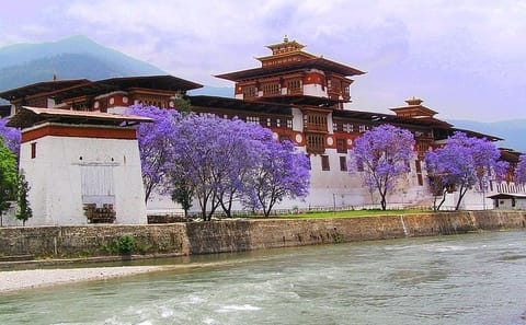 9-Day Cultural Tour of Thimphu Tshechu Festival in Bhutan