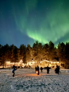 Northern Lights Adventure in the Wild with Campfire Treats