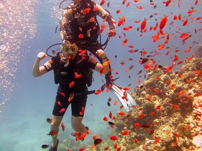 Trip to Tiran Island