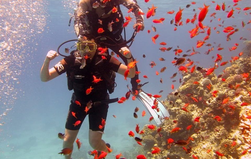 Snorkeling and Boat Tour to Tiran Island from Sharm El Sheikh