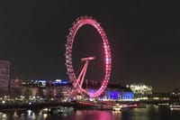 London's City Lights by Night Private Tour 1