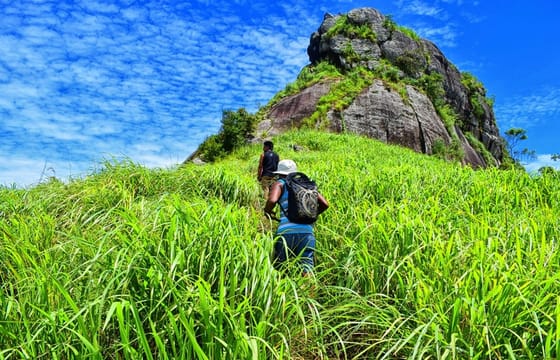 Saradiyel Village Trail And Alagalla Mountain Trekking