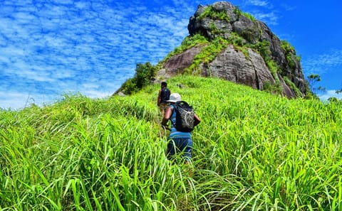 Saradiyel Village Trail and Alagalla Mountain Trek in Kandy