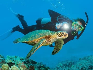 Scuba Diving and Snorkeling Adventure in Alanya, Türkiye